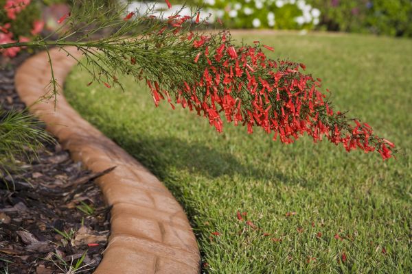 Outdoor Border Installation
