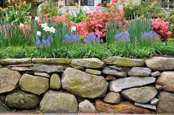 Stone Wall Hardscaping in Sarasota