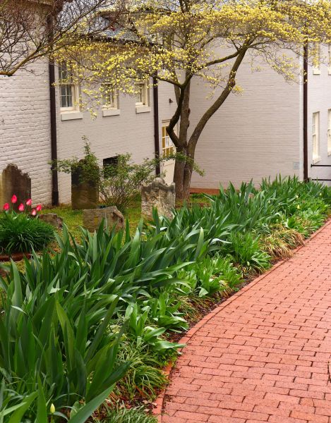 Brick Flatwork Repair in Sarasota